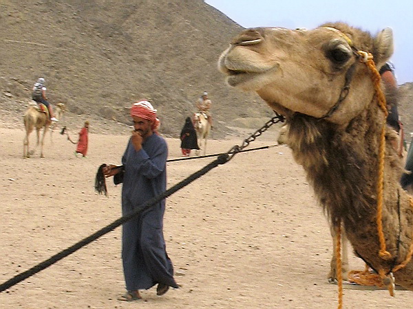 Hurghada - poušť